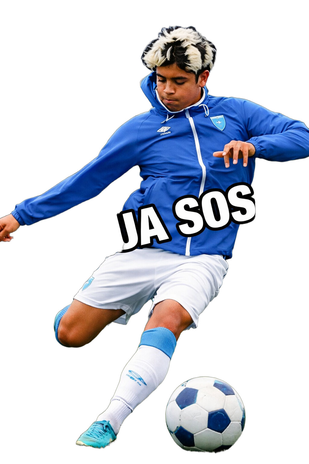 Joshua Sosa - Etapa Profesional